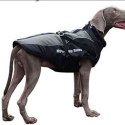 Dog Jacket with Harness & Furry Collar