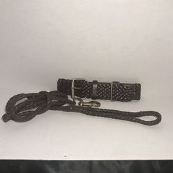Dog Leash N Chain Set