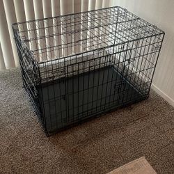 Dog Cage