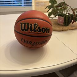 Wilson Evolution 28.5