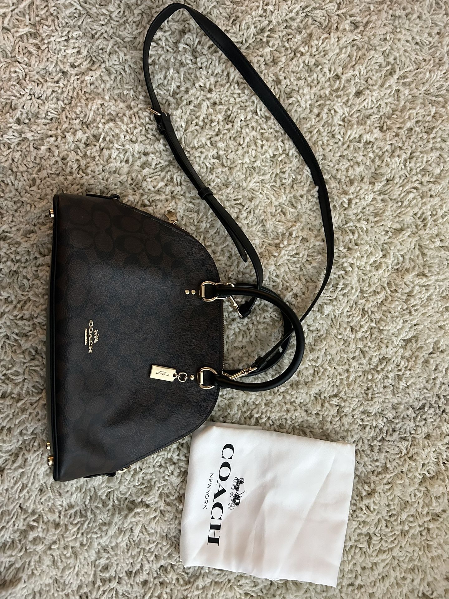 Coach Carryall Handbag