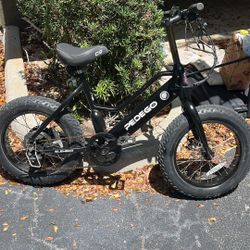 Pedego E Bike