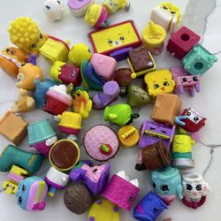 Little Shopkens