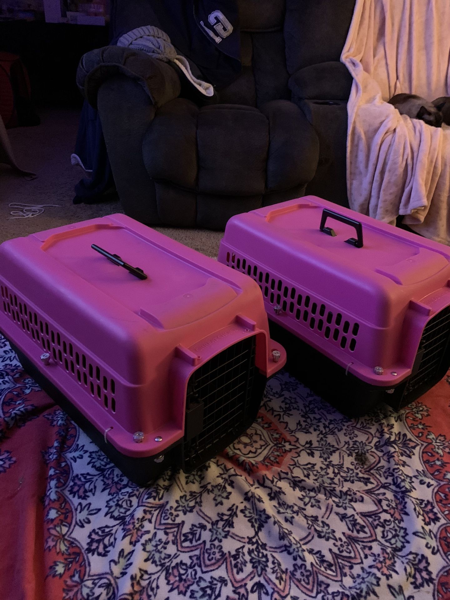 2 Pink Pet CARRIERS BUY 1 or both