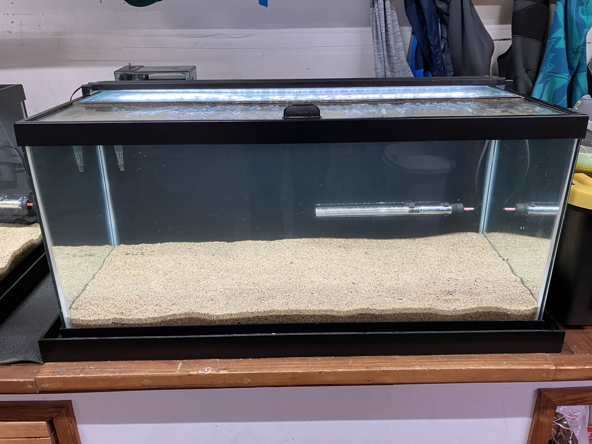 Full 40 Gallon Breeder Aquarium Setup - Cycled And Ready To Go - 2 Available