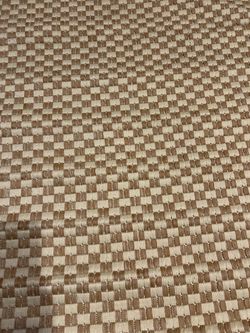 Beige Checkered Woven Area Rug