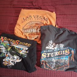 Harley Davidson Shirts Lot Of 3 2 XL 1 Large 