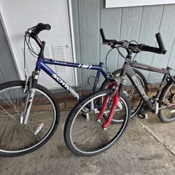 Schwinn Bikes. Both bikes for $39