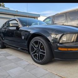 2009 Ford Mustang V6