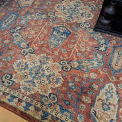 Vintage Look Persian Style Area Rug 9'7" x 7'6