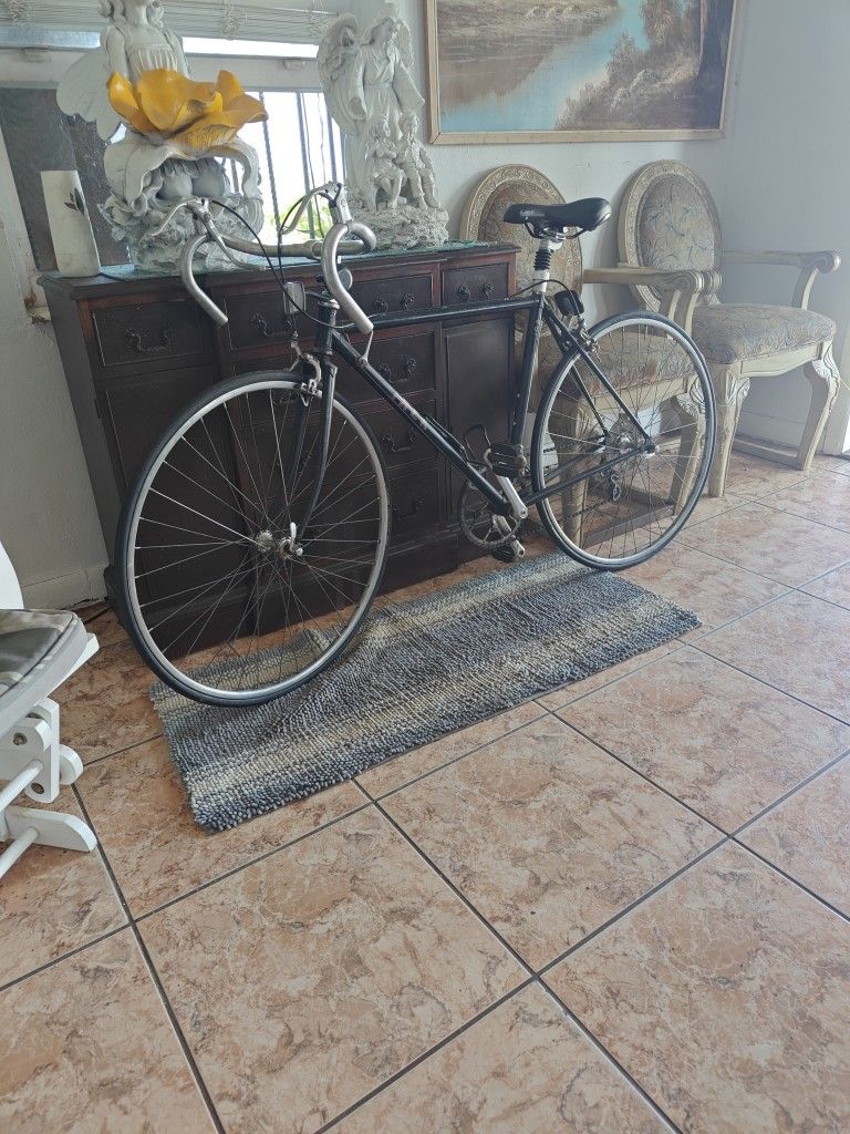 Trek 501 Model. Bicycle