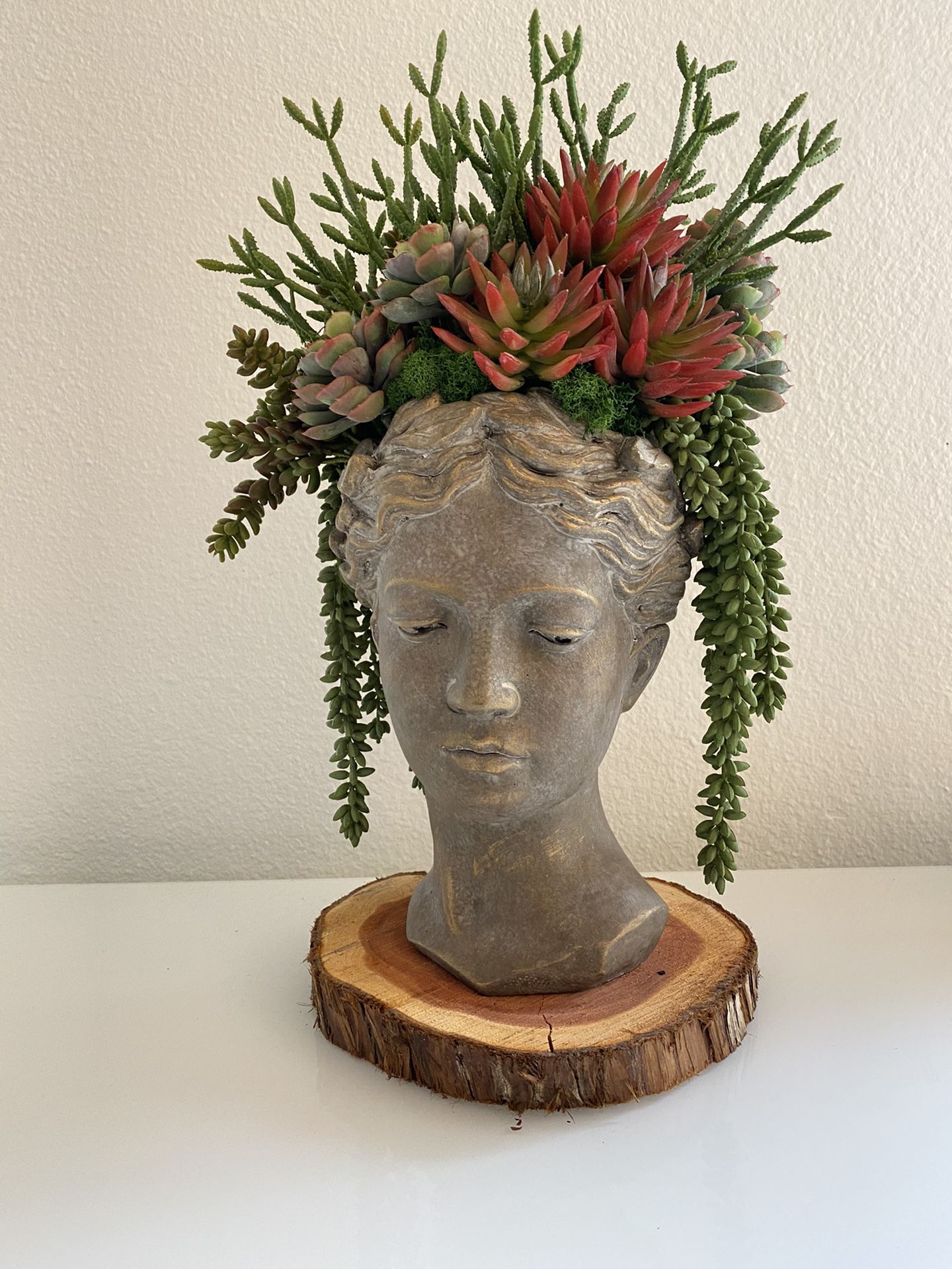 Succulent Goddess Custom Artificial Arrangement