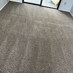 Carpet For Sale 