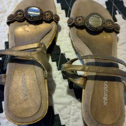 Ladies Shoes 
