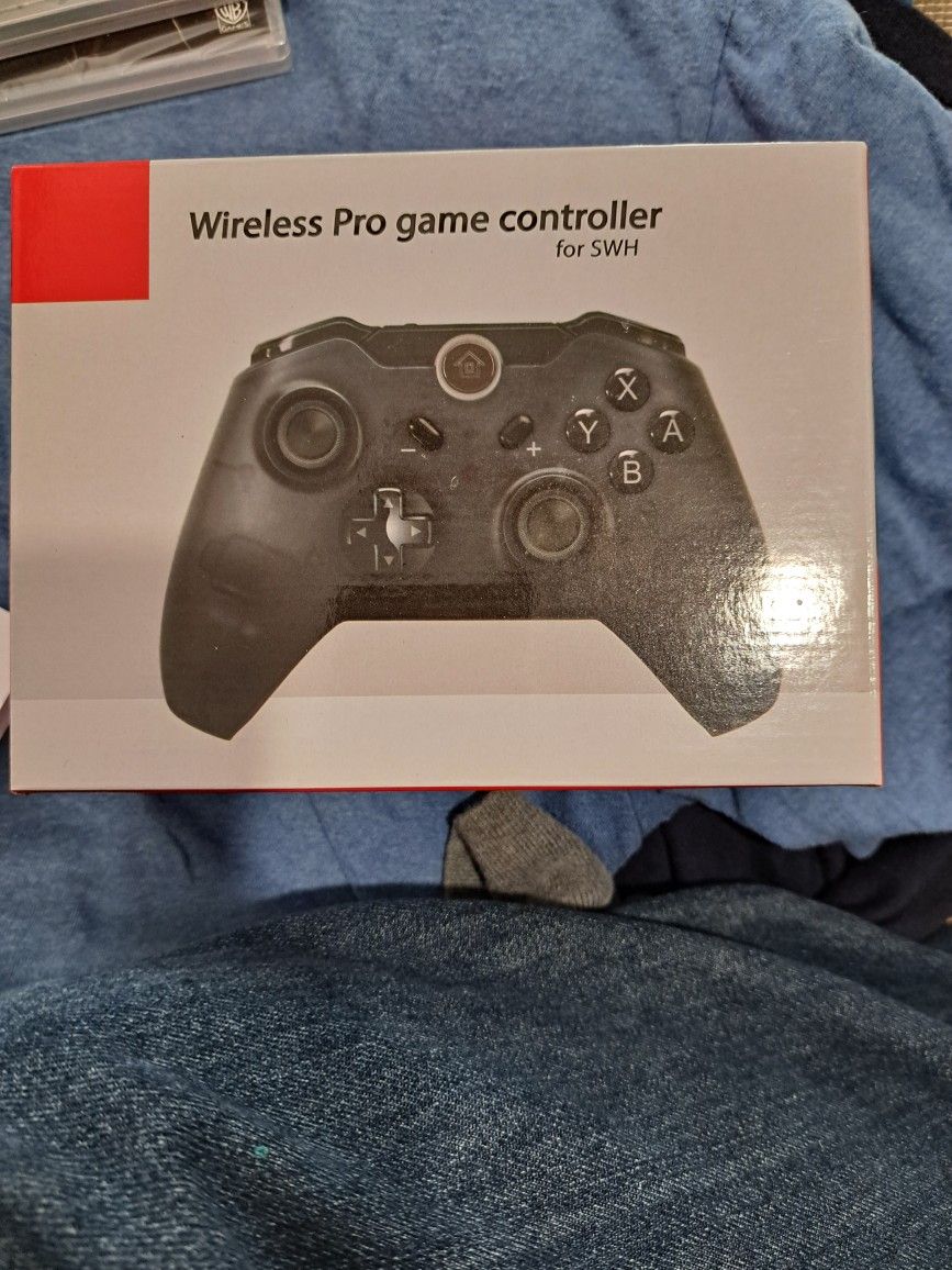 bigaint switch controller