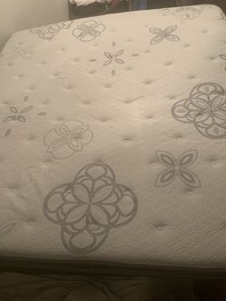 Brand new king pillow top mattress and box spring