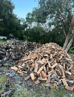 Seasoned Avocado 🔥 Eucalyptus Firewood Ready To Burn