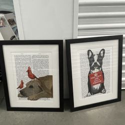 Framed Pictures