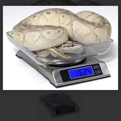 New Reptile Digital Scale Bowl Included