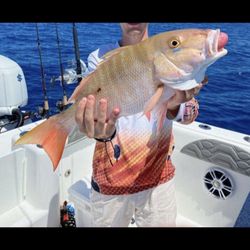 Yellowtail & Mutton Fishing