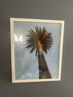 Cute palm tree photo framed
