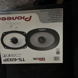  Pioneer TS-693P Dual Cone