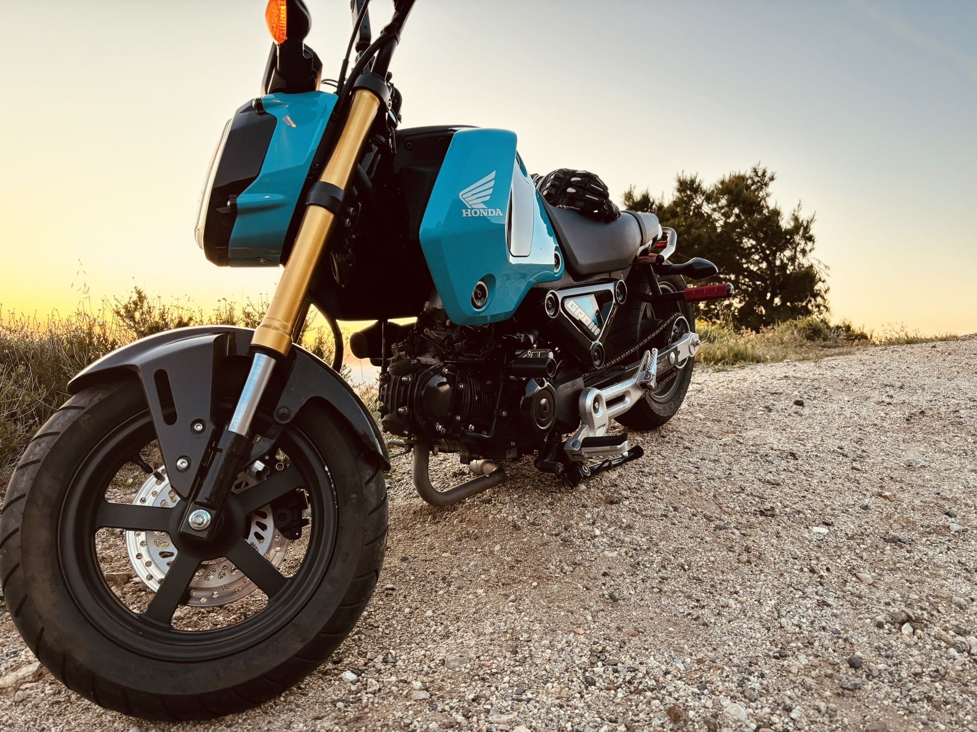2024 Honda Grom 125 MSX