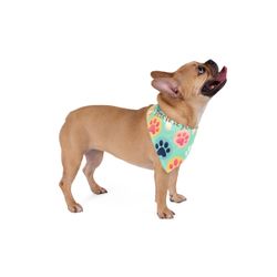 Funny Dog Bandana 27" | "Fetch It Yourself!" Colorful Paw Print Pet Scarf Accessory