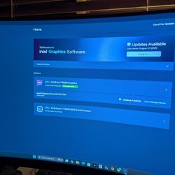 Onix Intel ARC B580 12 Gb