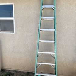 8 Foot Ladder