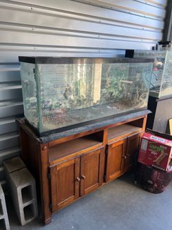 55 gallon tank and stand