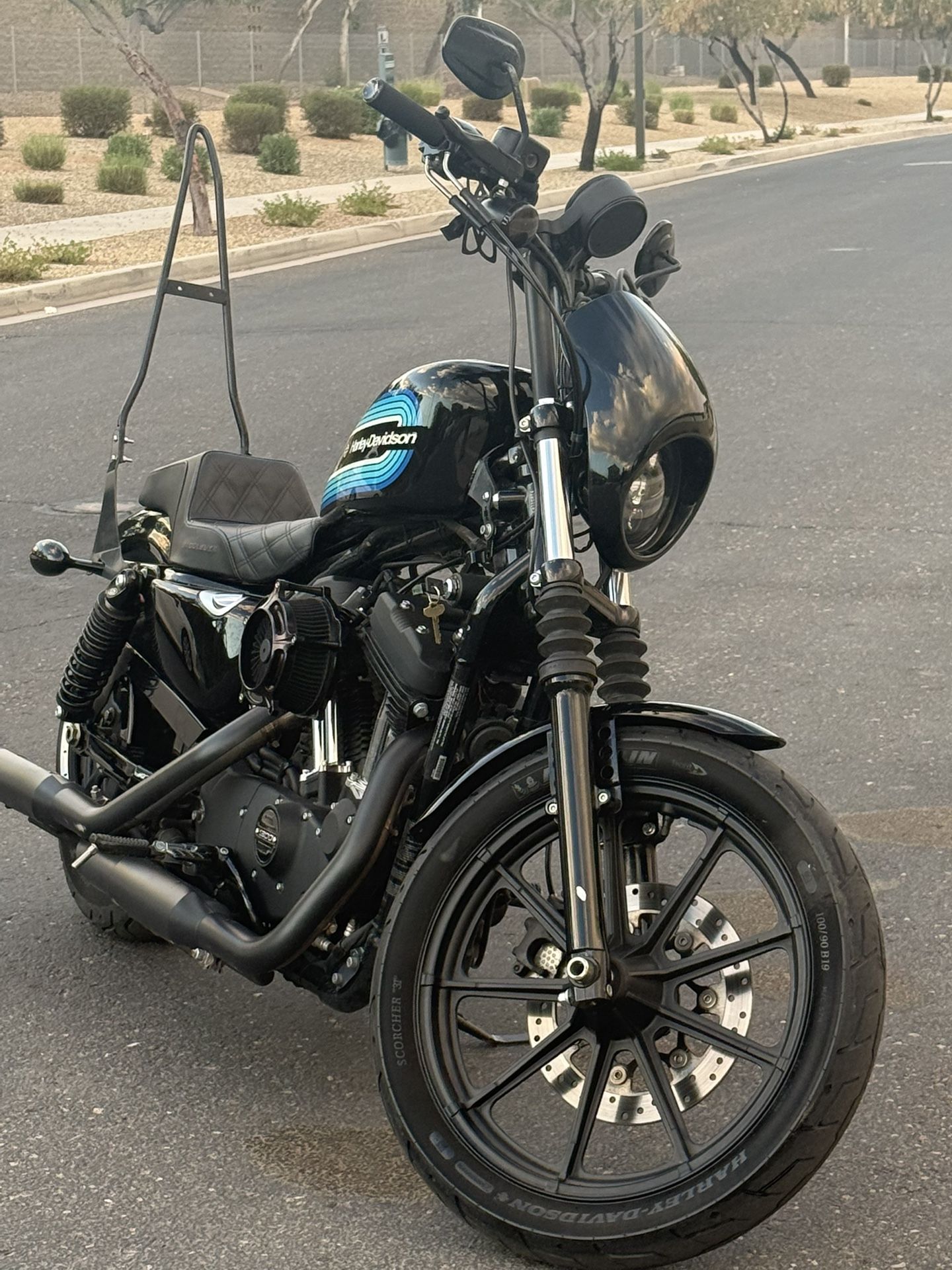 2019 Harley Davidson Sportster 1200