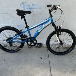 Blue Cobra 20in MTB