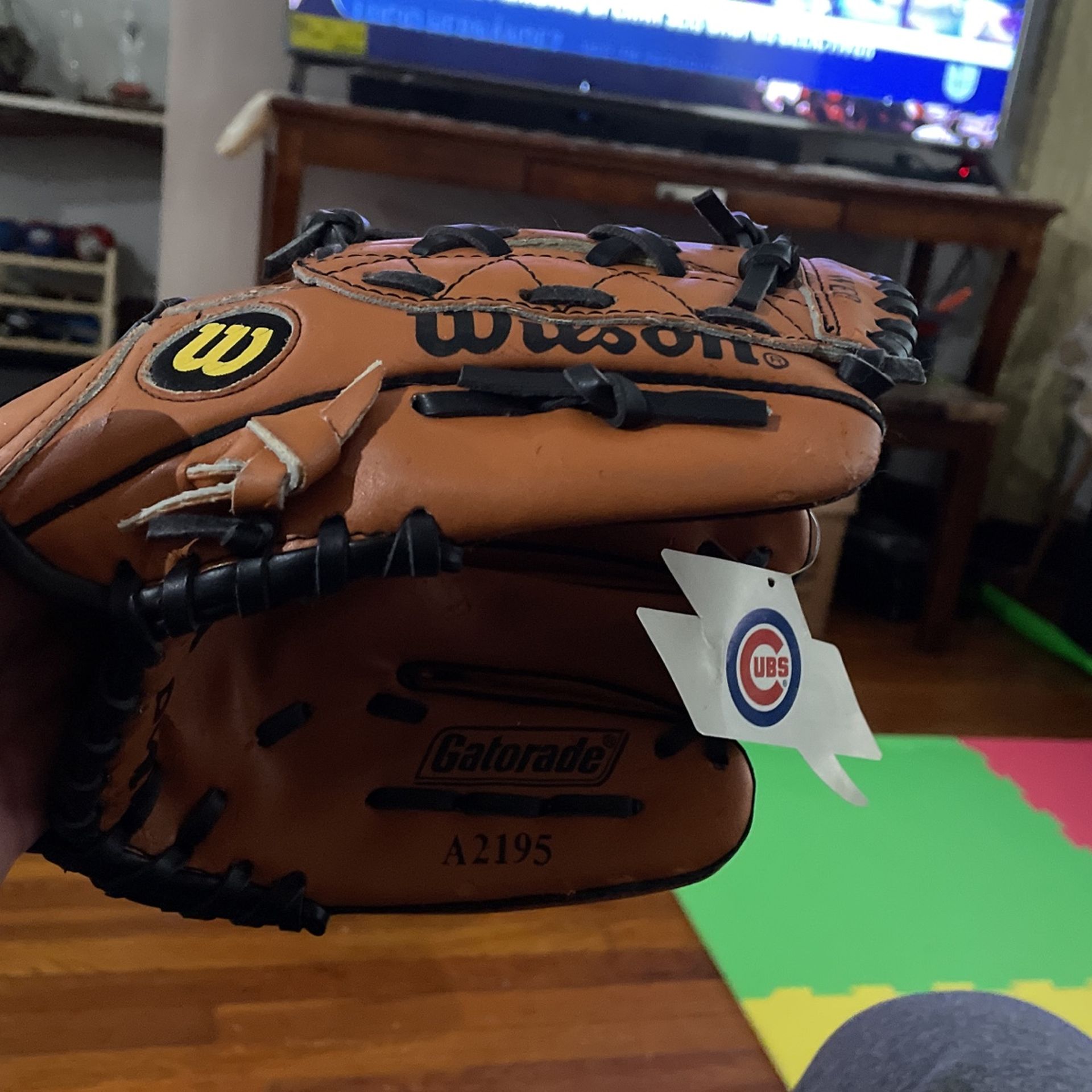 Baseball  Glove Wilson Brand 10 Inches New 