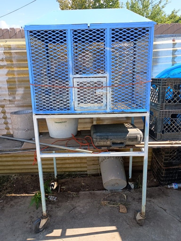 Bird Cage