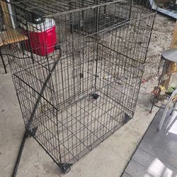 Bird Cage For Sale 