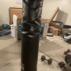Muay Tai Punching/Kicking Bag