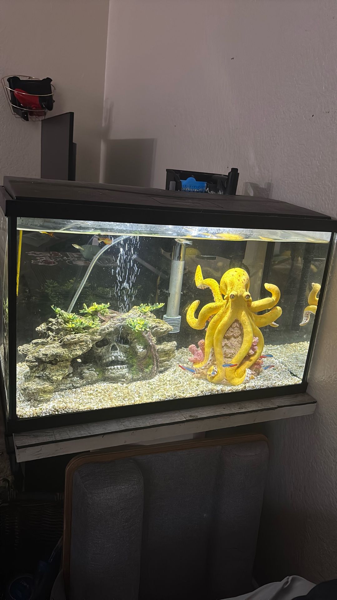 Fish Tank