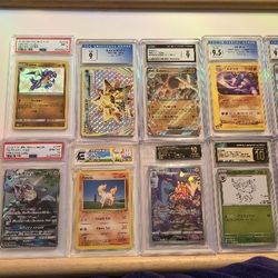 Entire Pokemon Collection 