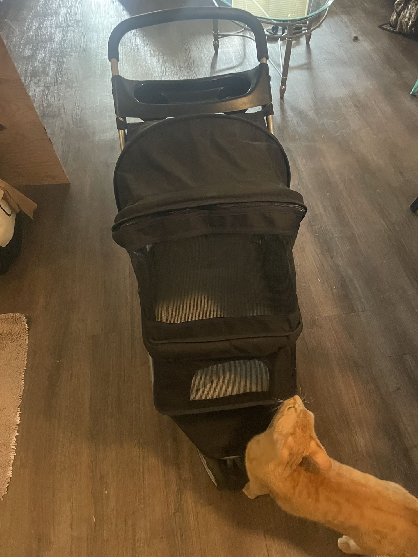 Dog Stroller