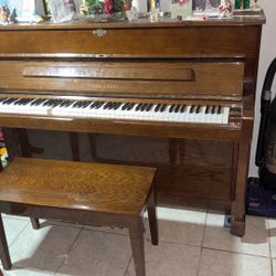 Young Chang Piano 250 OBO