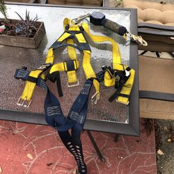 SALA Harness ….. Throw Me An Offer