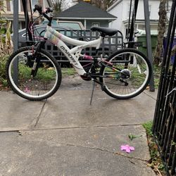 Bicycle Beautiful 