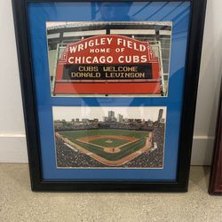 Wriggled Field Chicago Cubs Portrait