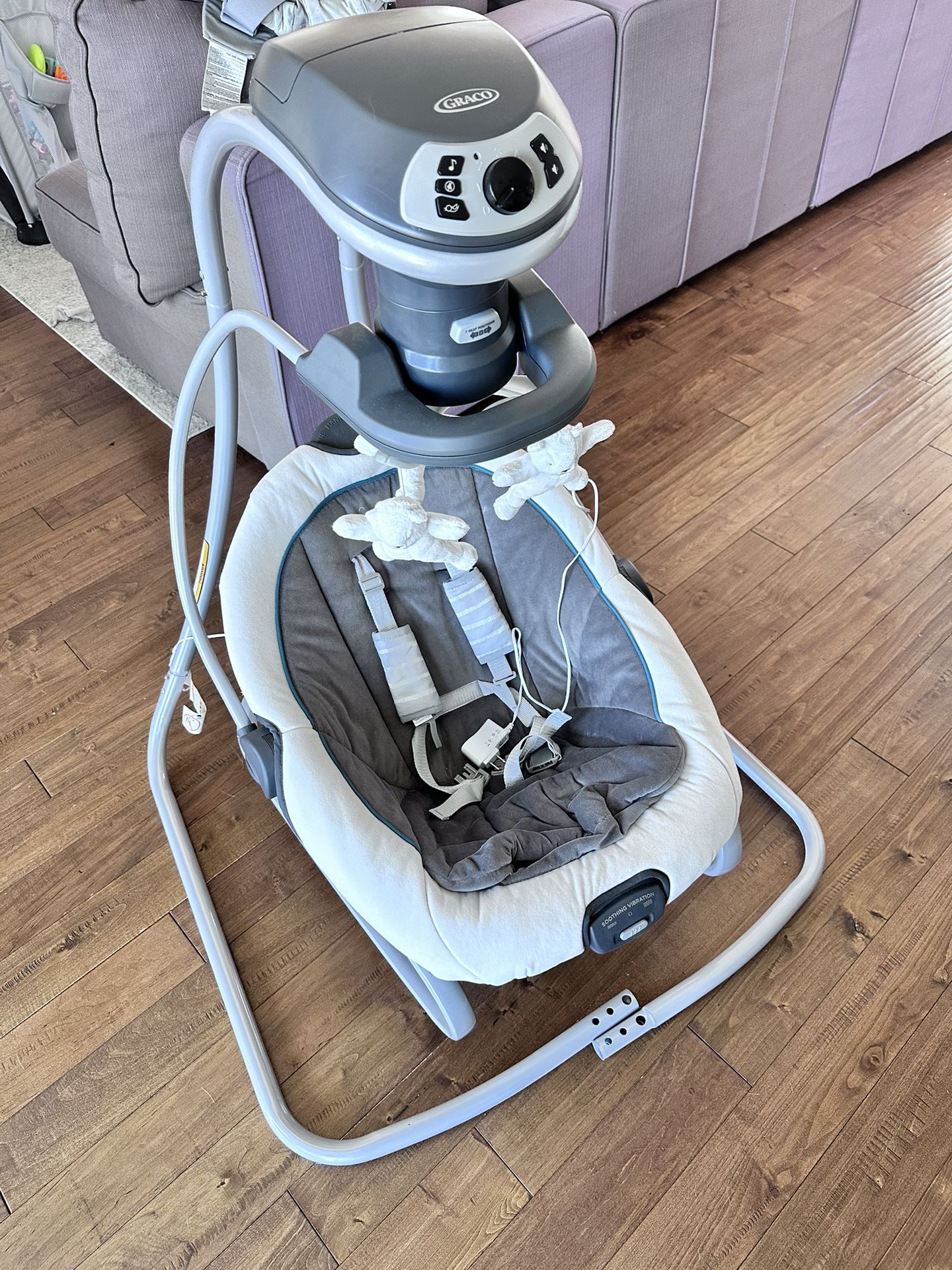 Graco Swing And Rocker