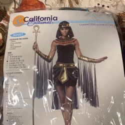 Egyptian Goddess Costume
