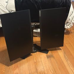 Dual HP Monitors 