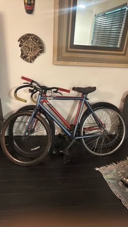 Raleigh fixie bike