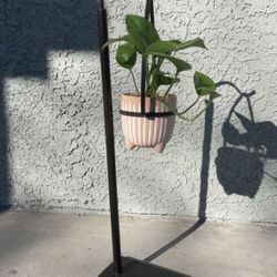Plant Holder Stand