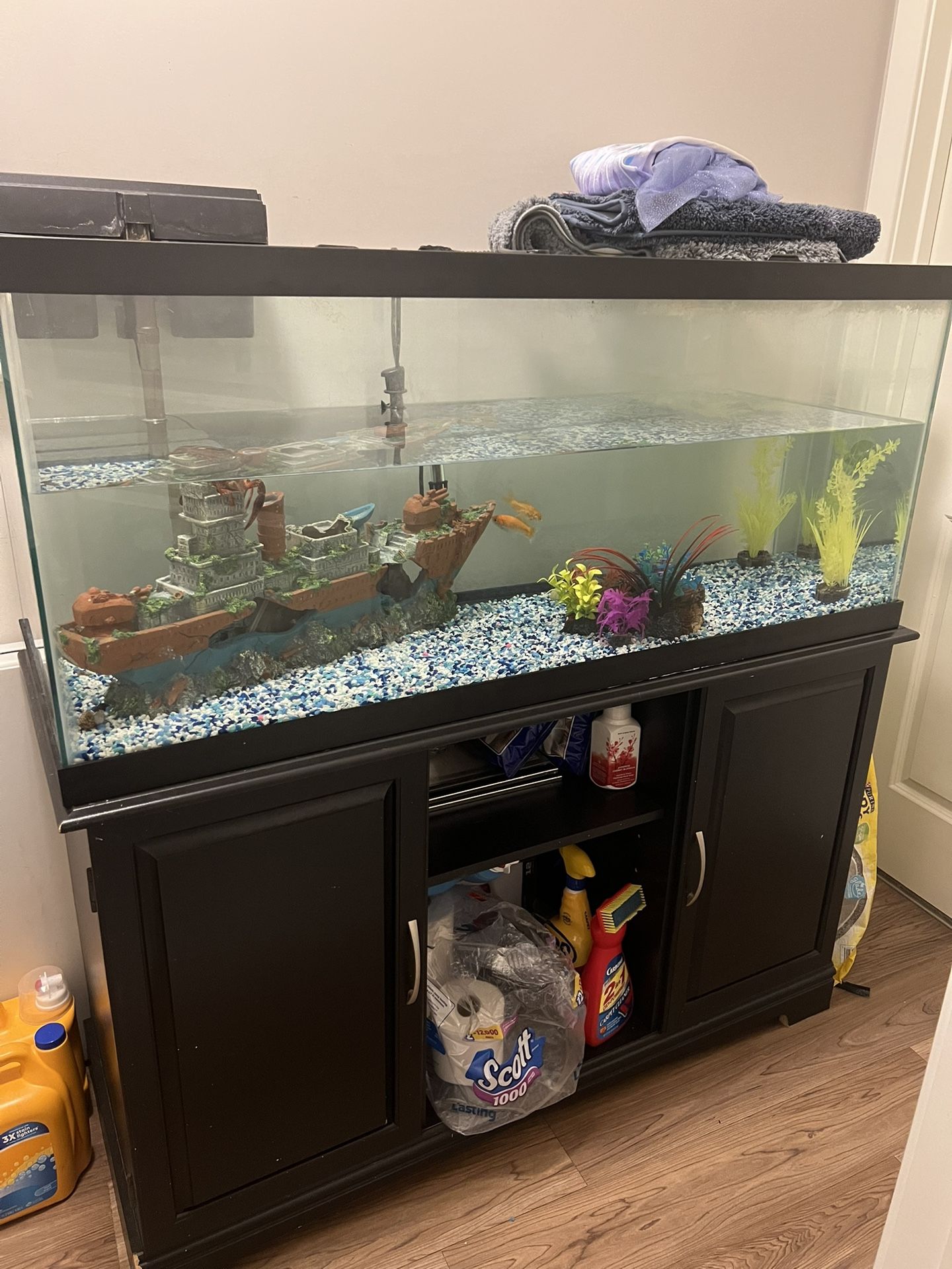 Fish Tank With base